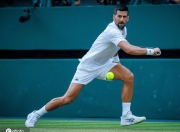 虎扑体育-德约科维奇爆冷击败曼联，出色防守引爆全场！的简单介绍